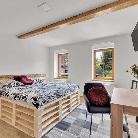 Comfortable Studio In The Ore Mountains Lägenhet *